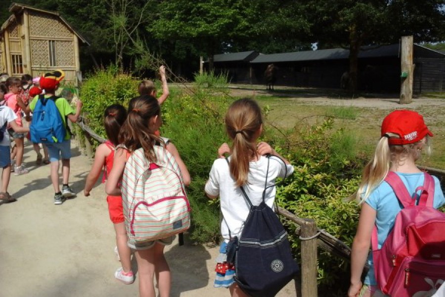 Schoolreis eerste graad: kuieren tussen de dieren in Planckendael.