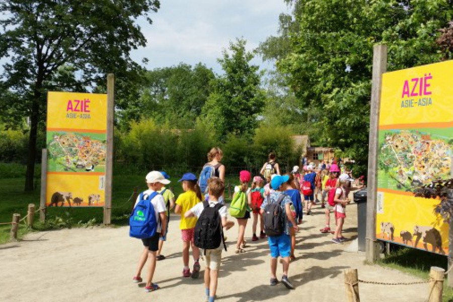 Schoolreis eerste graad: kuieren tussen de dieren in Planckendael.