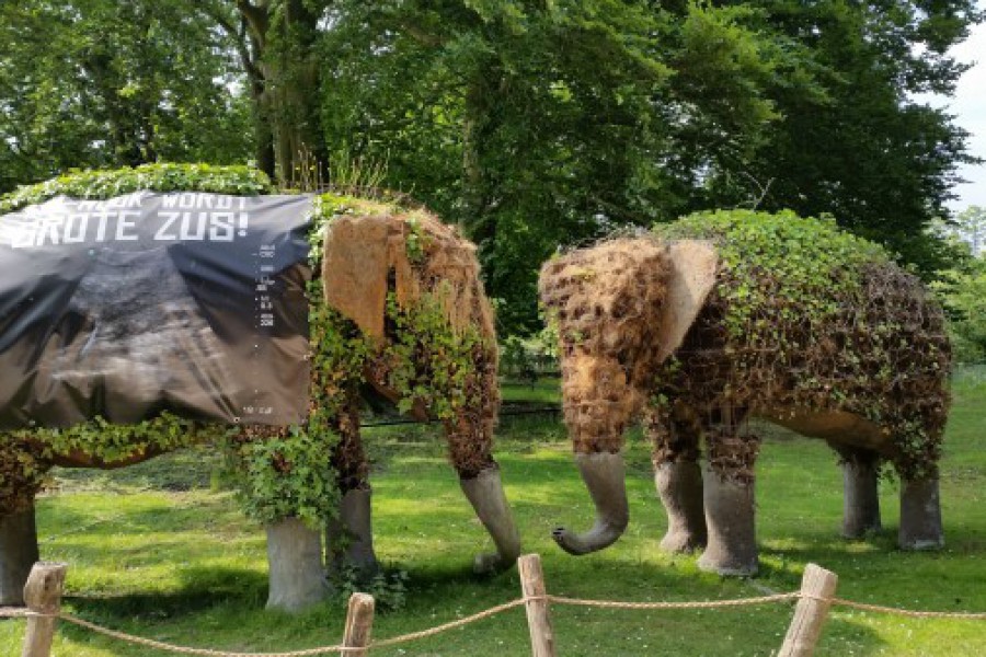 Schoolreis eerste graad: kuieren tussen de dieren in Planckendael.