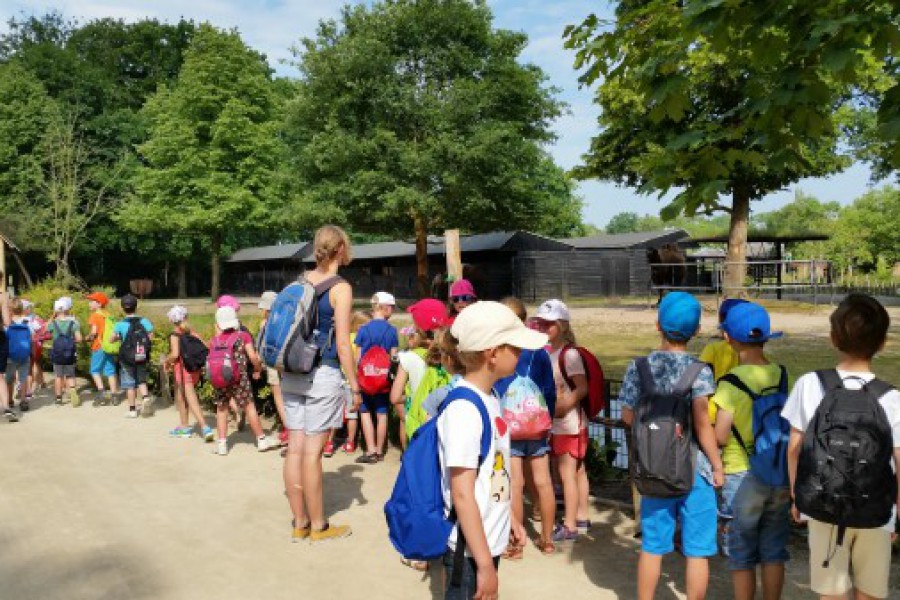 Schoolreis eerste graad: kuieren tussen de dieren in Planckendael.