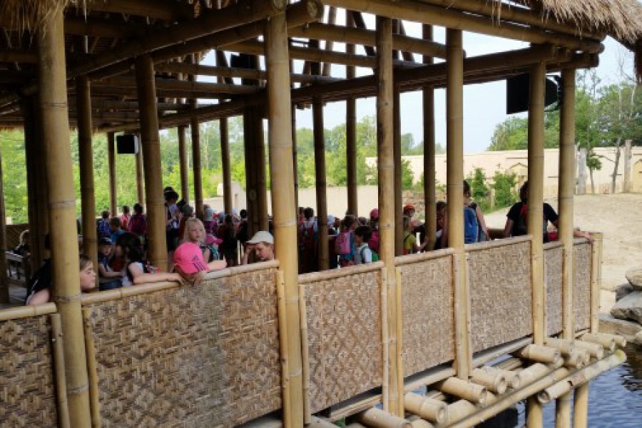 Schoolreis eerste graad: kuieren tussen de dieren in Planckendael.