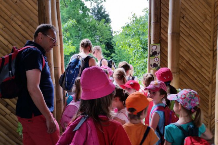 Schoolreis eerste graad: kuieren tussen de dieren in Planckendael.