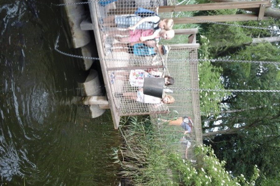 Schoolreis eerste graad: kuieren tussen de dieren in Planckendael.