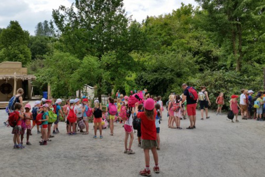 Schoolreis eerste graad: kuieren tussen de dieren in Planckendael.