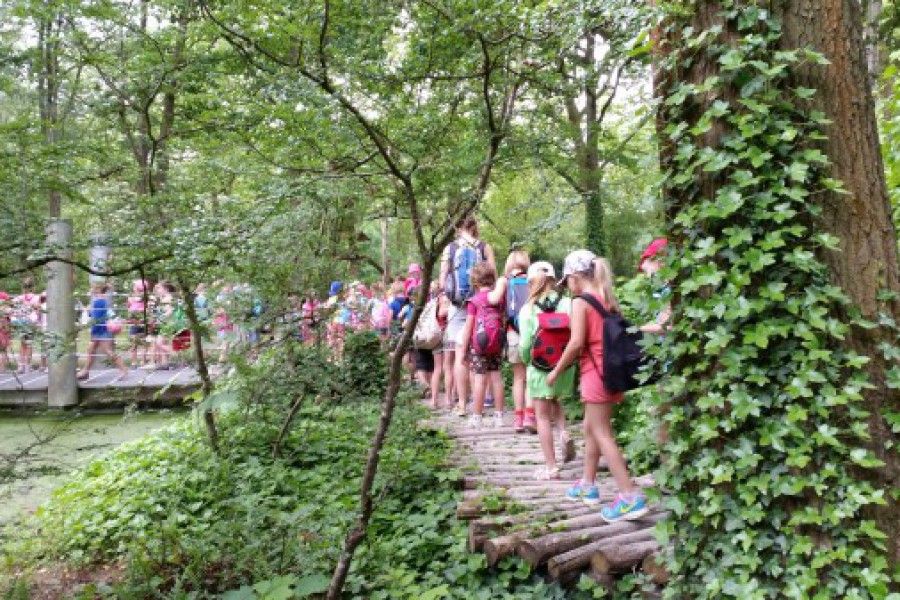 Schoolreis eerste graad: kuieren tussen de dieren in Planckendael.