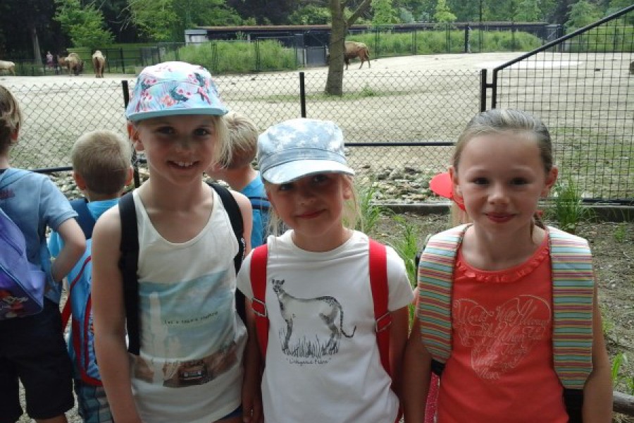 Schoolreis eerste graad: kuieren tussen de dieren in Planckendael.