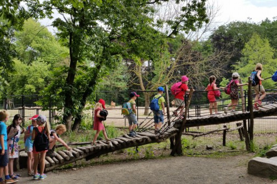 Schoolreis eerste graad: kuieren tussen de dieren in Planckendael.