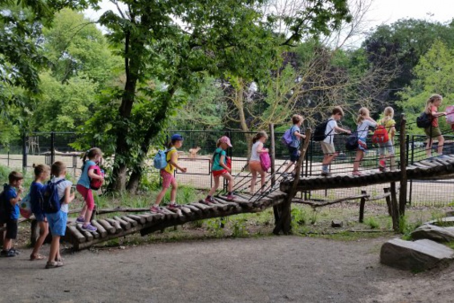 Schoolreis eerste graad: kuieren tussen de dieren in Planckendael.