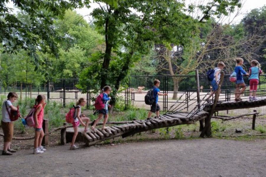 Schoolreis eerste graad: kuieren tussen de dieren in Planckendael.