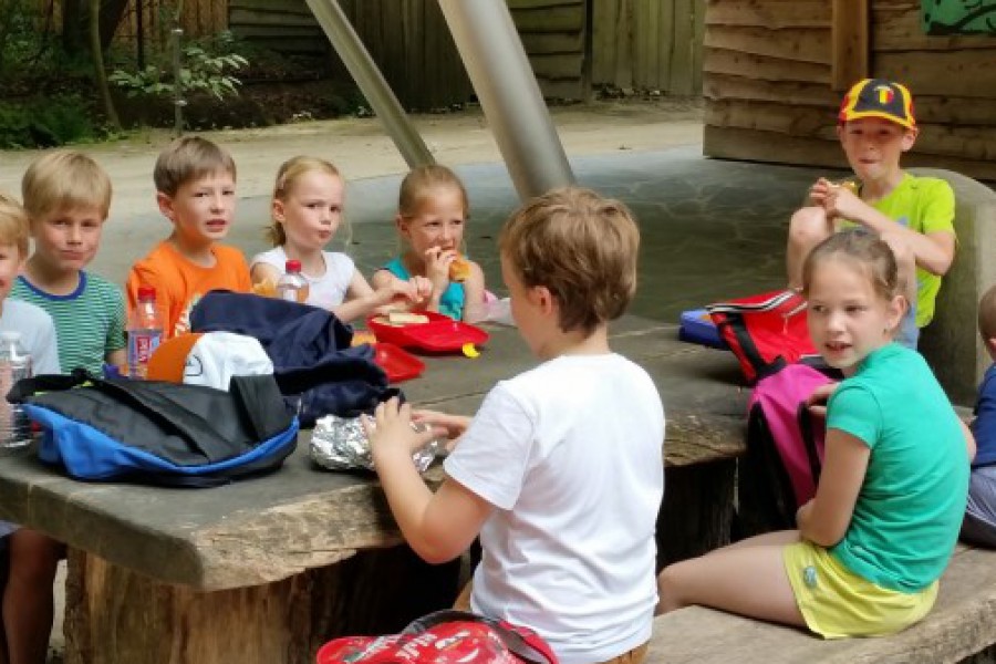 Schoolreis eerste graad: kuieren tussen de dieren in Planckendael.