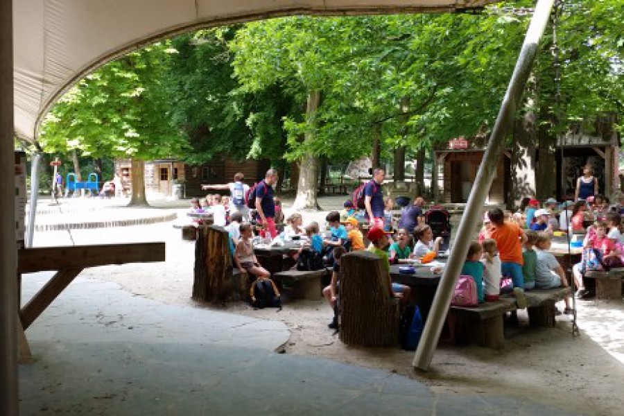 Schoolreis eerste graad: kuieren tussen de dieren in Planckendael.