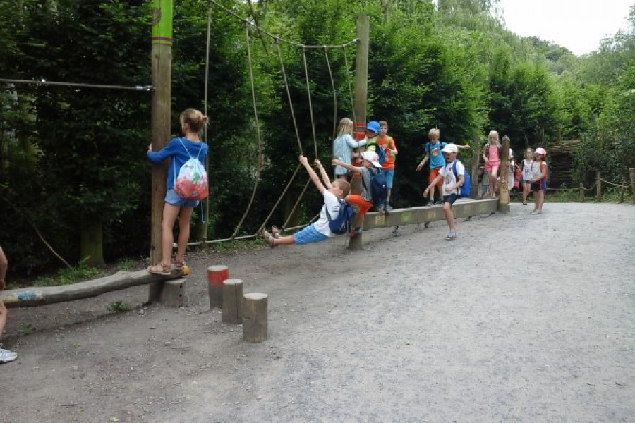 Schoolreis eerste graad: kuieren tussen de dieren in Planckendael.