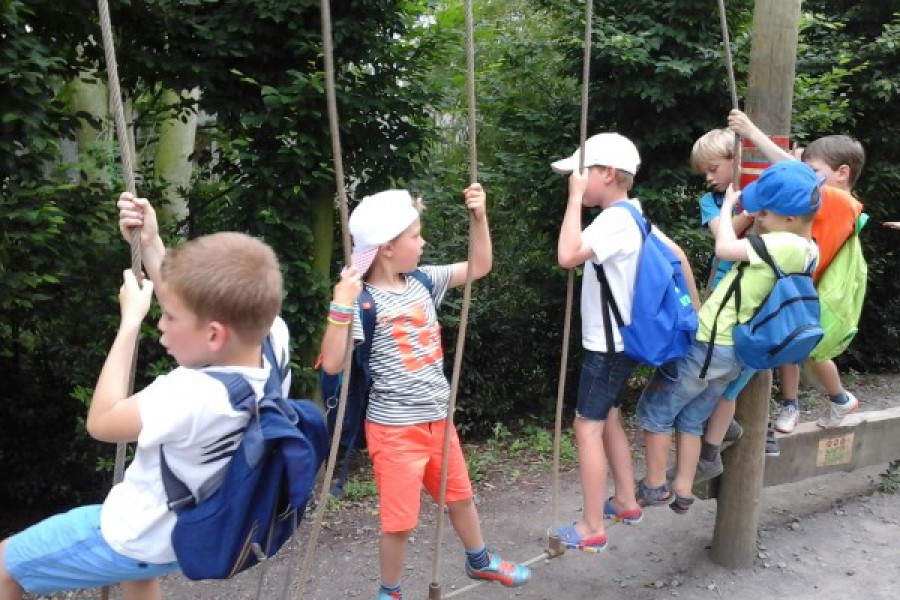 Schoolreis eerste graad: kuieren tussen de dieren in Planckendael.