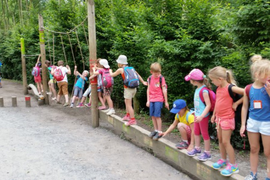 Schoolreis eerste graad: kuieren tussen de dieren in Planckendael.