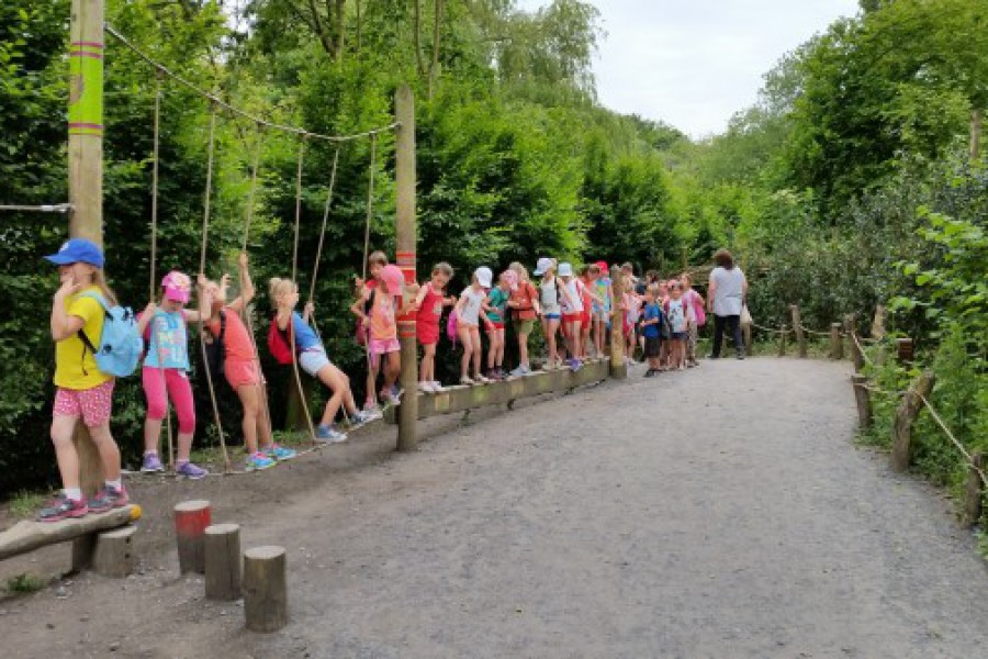 Schoolreis eerste graad: kuieren tussen de dieren in Planckendael.