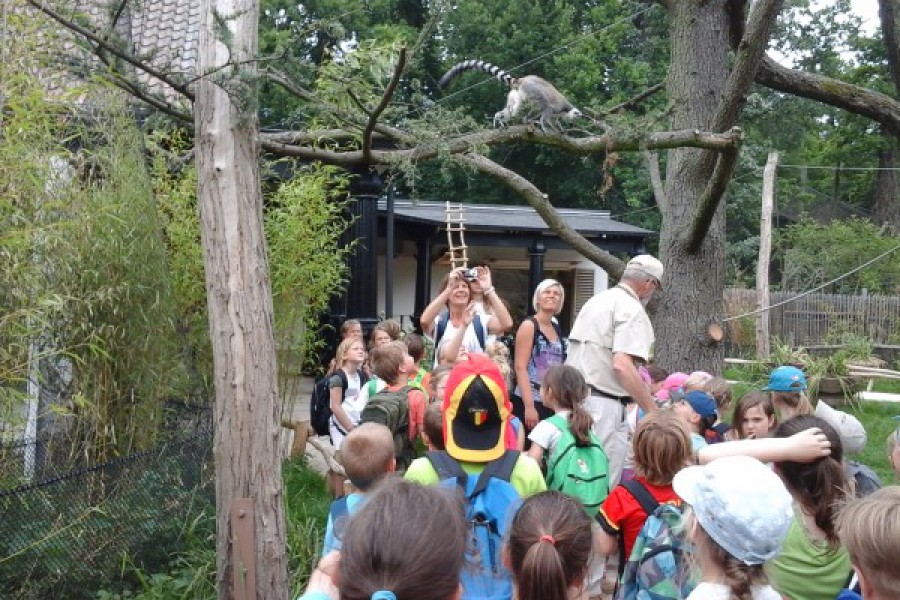 Schoolreis eerste graad: kuieren tussen de dieren in Planckendael.