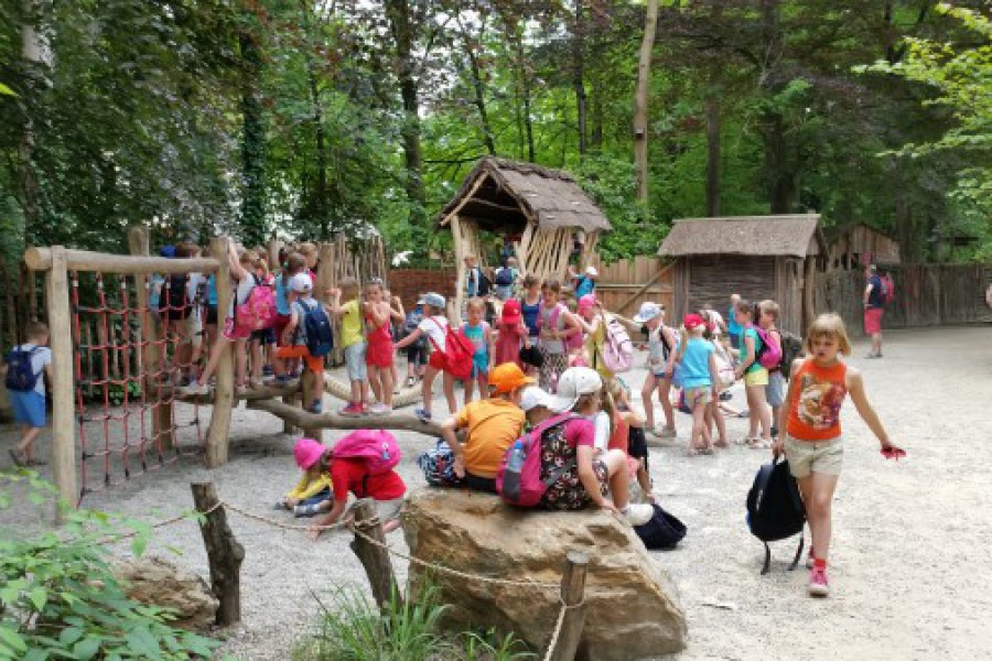 Schoolreis eerste graad: kuieren tussen de dieren in Planckendael.