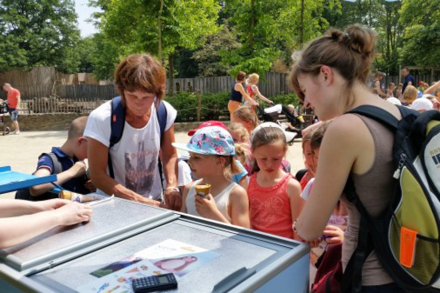 Schoolreis eerste graad: kuieren tussen de dieren in Planckendael.