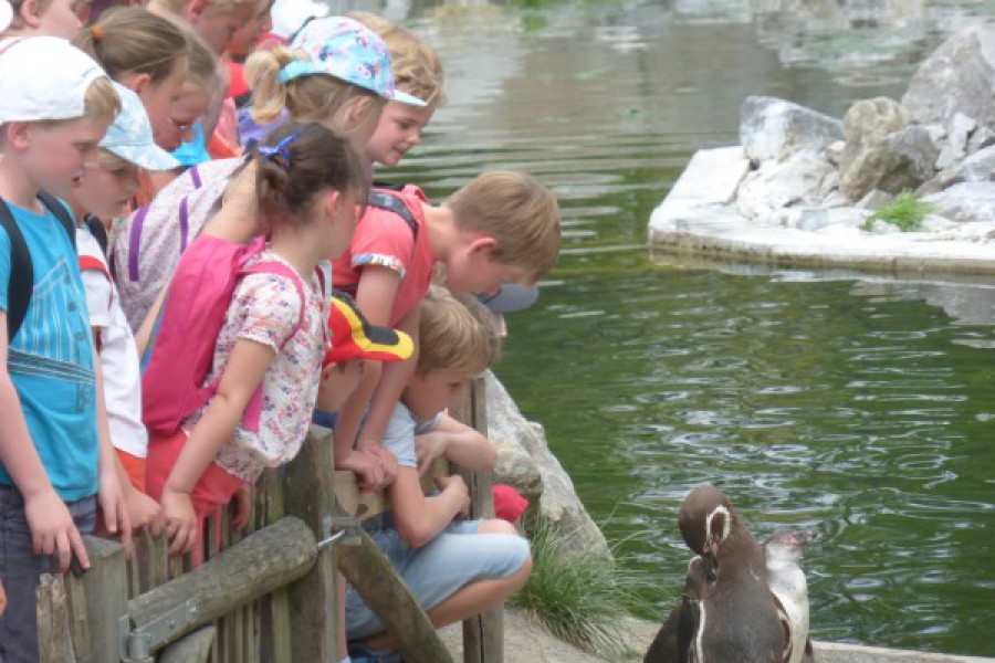 Schoolreis eerste graad: deel 2.