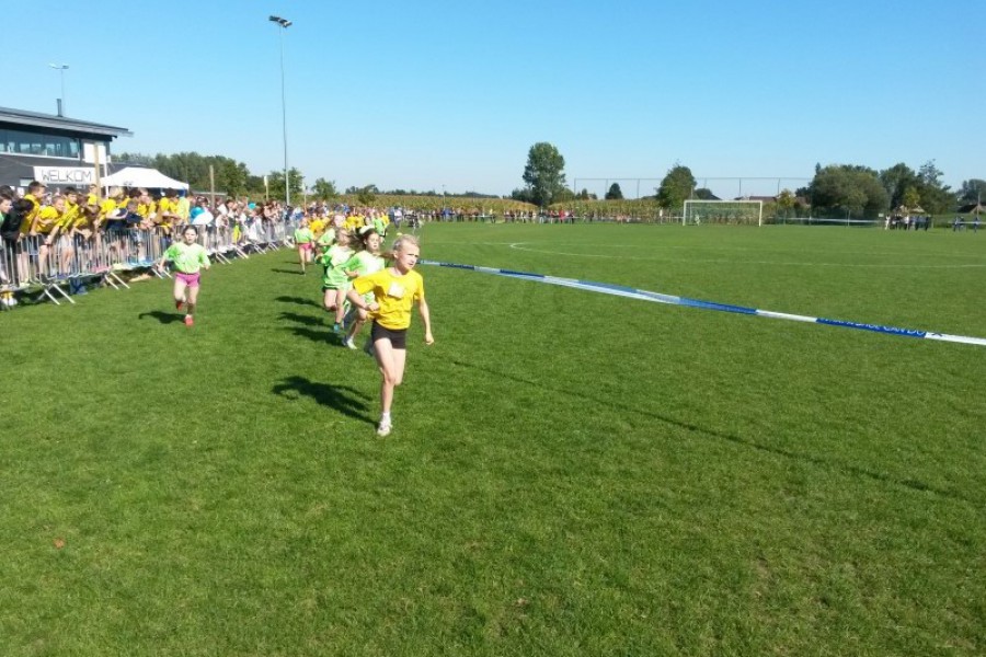 Scholenveldloop 2015-2016