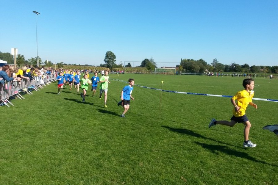 Scholenveldloop 2015-2016