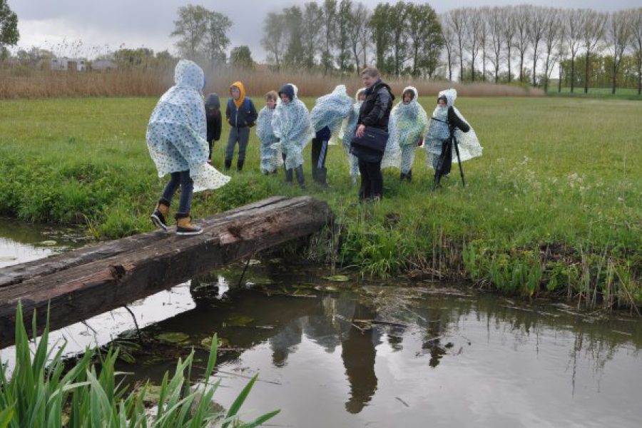 L3B trotseert aprilse grillen in de kalkense meersen!!