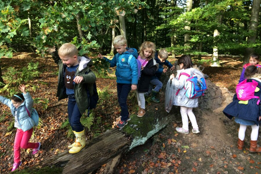 Op stap in het bos (Puyenbroeck in Wachtebeke)