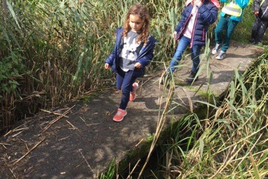 Trage wegenwandeling Kalken