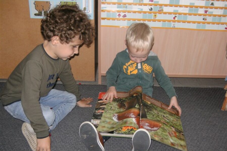 Werken rond prentenboek ‘Uiltje en de nootjes’ van Pierre Winters