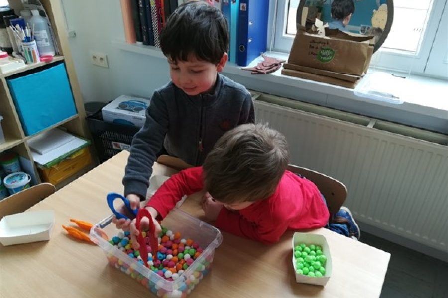 Carnaval in de dolfijnenklas