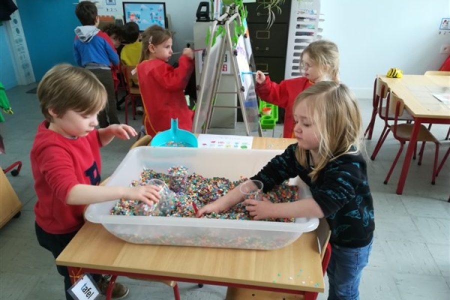 Carnaval in de dolfijnenklas